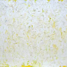 Gail Behrmann