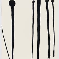 Anna Maria Maiolino, Novas marcas (1998)