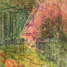 Jaemin Dhan