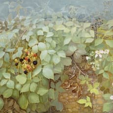 Jane Wormell