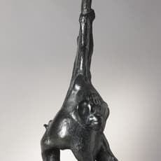 Georges-Lucien Guyot