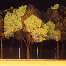 Javier Riera