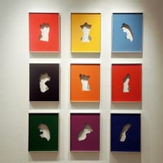 Dhruva Mistry