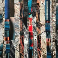 Ioana Cristina Dimuș