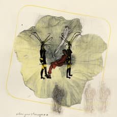 Ann Gollifer