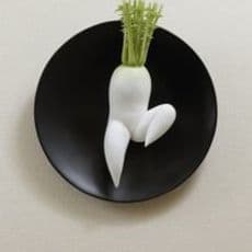 Takayuki Niwa ニワタカユキ