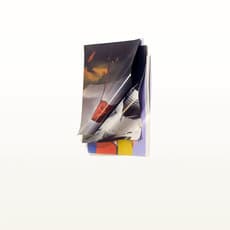 Carlos Fernández Pello