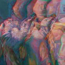 José Almeida Pereira