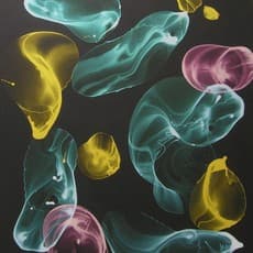 Jiří Georg Dokoupil