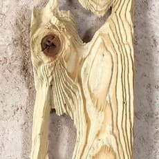 Valentina Lucarini Orejon