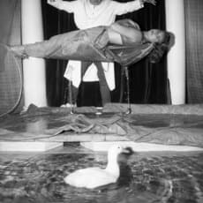 Bob Mizer