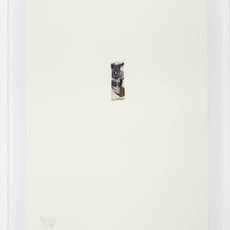 Ayman Yossri Daydban