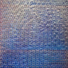 Williamson Brasfield