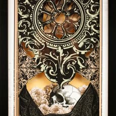 Alex Eckman-Lawn