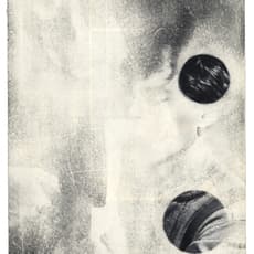 Stephen Irwin