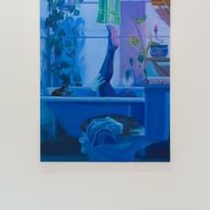 Shahin Sharafaldin