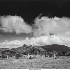 Clyde Butcher