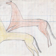 anonymous Teton artist