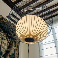 Julie Pfligersdorffer