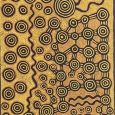 Dini Campbell Tjampitjinpa