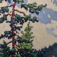 Jennifer Woodburn