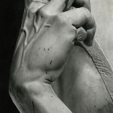 Daniëlle van Ark