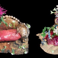 Thomas Lanigan-Schmidt