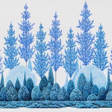 Younghwan Chung