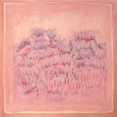 Nicolene Burger