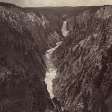 F. Jay Haynes