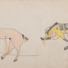 attributed to Skunk, Lakota