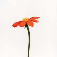 Michael Dumontier & Neil Farber