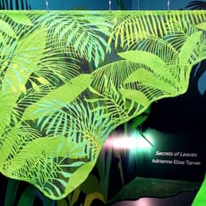 Adrienne Elise Tarver