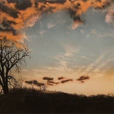 Christopher Owen Nelson