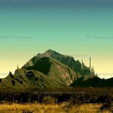 Gisela Motta & Leandro Lima