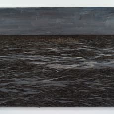 Yoan Capote