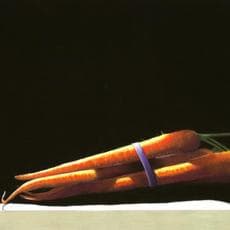 Diane Rudnick Mann