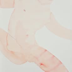 Marijn Akkermans