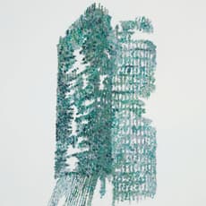 Marianne Lang