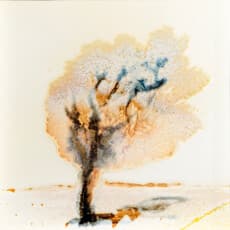 Yahui XIONG 시옹 야후이