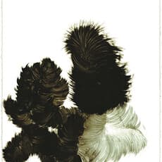 Kohei Nawa 名和晃平