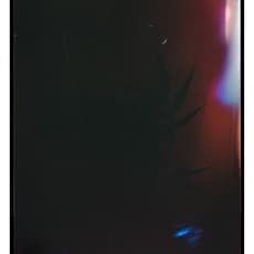 Ketuta Alexi-Meskhishvili