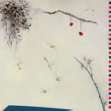 Tsang Chui Mei