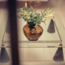 Romi Krauskopf Narkiss