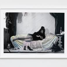 Nathan Carter, Dan Estabrook and Mercedes Jelinek