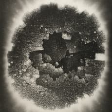 Zhang Yu