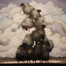 Matt Lively