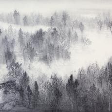 Hua Xin Xu 许华新