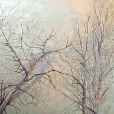 Danna Ruth Harvey