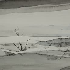 Yan Shi